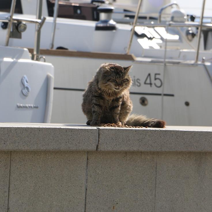 Marine adventure memories